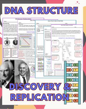 Worksheet Discovery And Structure Of Dna