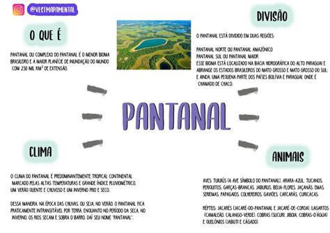 Biomas Brasileiros Bioma Pantanal Mapa Mental Pantanal