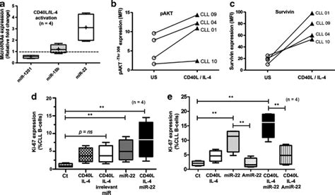 Cd40 Engagement Induces Mir 22 Expression Activation Of Akt Pathway