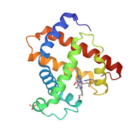 RCSB PDB 2MGM HIGH RESOLUTION CRYSTAL STRUCTURES OF FIVE DISTAL