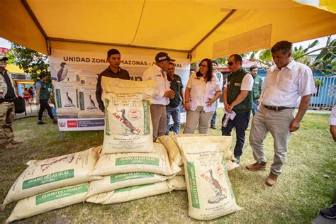 Midagri Inicia Campa A De Pastos Cultivados Para Impulsar Ganader A De