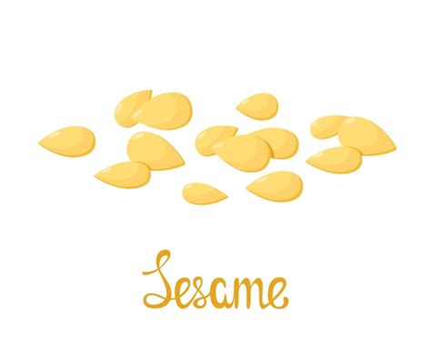 Premium Vector Sesame Seeds On A White Background Cartoon Design Spice