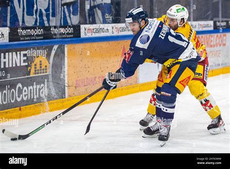 Yannick Zehnder 12 EV Zug During The National League Regular Season