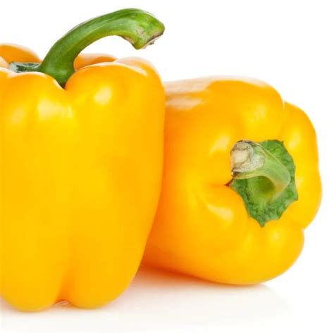 A Grade Fresh Red And Yellow Capsicum Packaging Size Kg At Rs