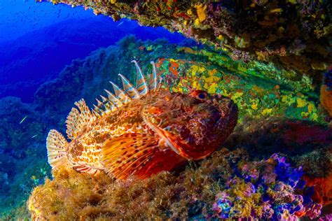 Plongez Dans Lune Des 17 Plus Fabuleuses Grottes Sous Marines De La