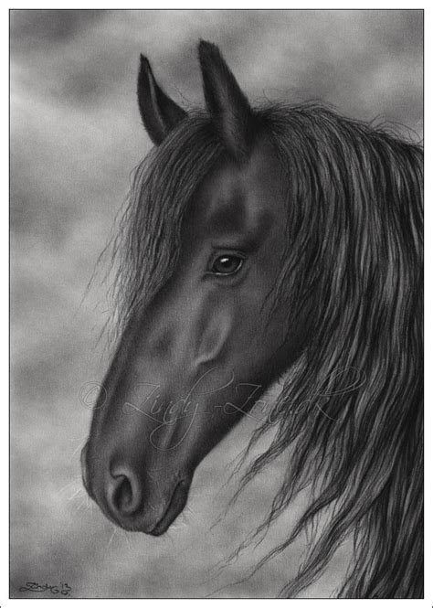 Black Horse Portrait for BCA by Zindy on DeviantArt