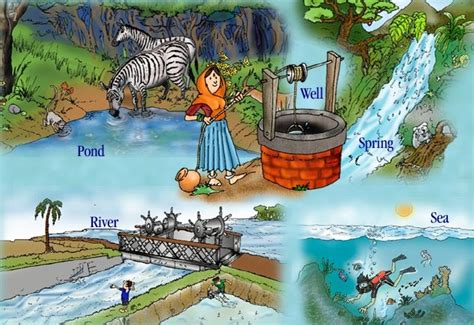 Freshwaterfactswithsavitadhutti Sources Of Water