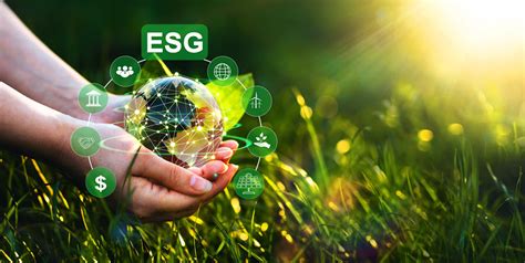 Esg And The Role Of Internal Audit Wsj