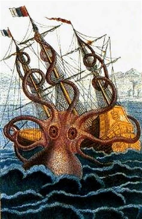 Kraken Wiki Mitología Fandom