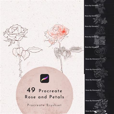 Procreate Rose Brush Petals Brush Rose Outline Etsy Hong Kong