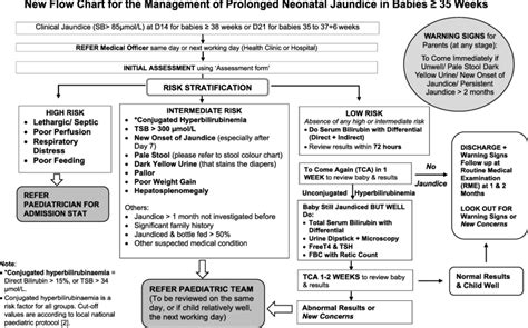 Impact Of A Standardized Protocol For The Management Of Prolonged