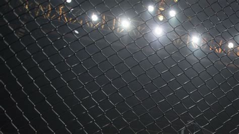 Mma Cage Wallpaper Hd - 1920x1080 Wallpaper - teahub.io