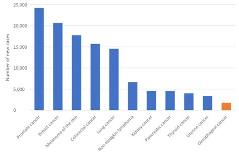 Se Esophageal Cancer Survival Rate By Age Infoupdate Org