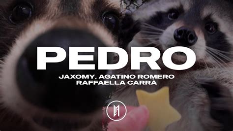 Pedro Pedro Pedro Pe — Jaxomy Agatino Romero Raffaella Carrà Sub Español Tiktok Youtube