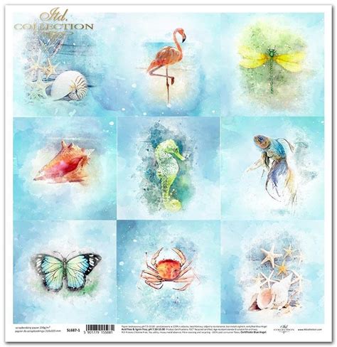 Papier Scrapbooking Sl Seria Tropical Dreams Tagi Obrazki