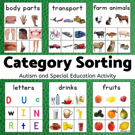 Category Sorting For Speech Therapy And Autism Made By Teachers