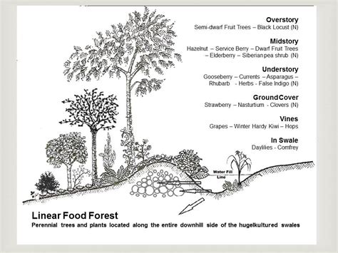 Hugelkultur – Mounds of Fertility | Ecologia Design / 240.344.5625