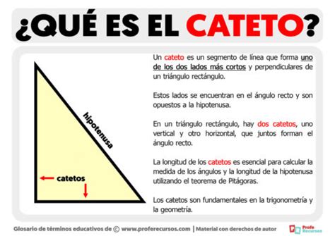 Qué es el Cateto Definición de Cateto