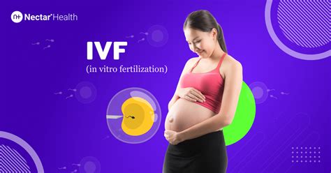 In Vitro Fertilization IVF IVF Steps Risks Costs And Success