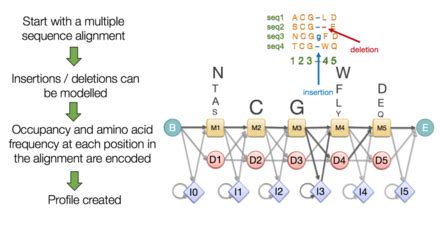 Sequence alignment - Wikipedia