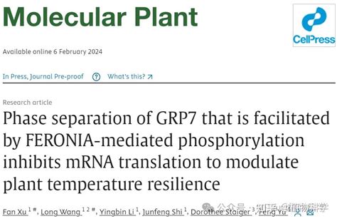 湖南大学于峰课题组揭示受体激酶FERONIA调控RNA代谢新机制 知乎