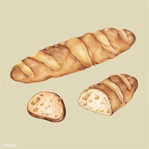 Freshly Baked Baguette Hand Drawn Illustration Premium Image By