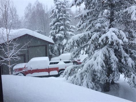 It's been a snowy winter | Snowy, Outdoor, Alaska