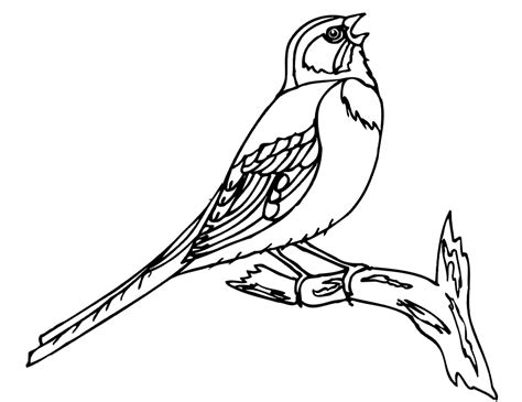 Bird Stencil Printable - Coloring Home