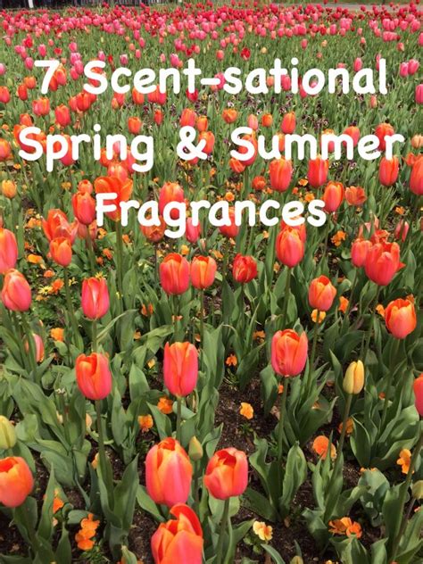 7 Scent Sational Spring And Summer Fragrances Fabulous And Fun Life