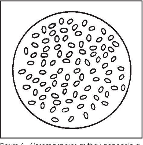 Figure 2 From Diagnosis Of Honey Bee Diseases Semantic Scholar