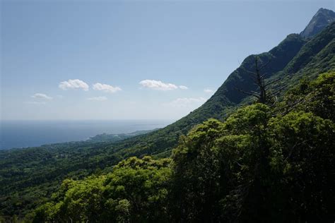 Yakushima Island (屋久島): Sunrise to Sunset – Randomwire