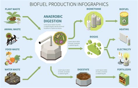 Biofuel Production Infographics 25803136 Vector Art at Vecteezy