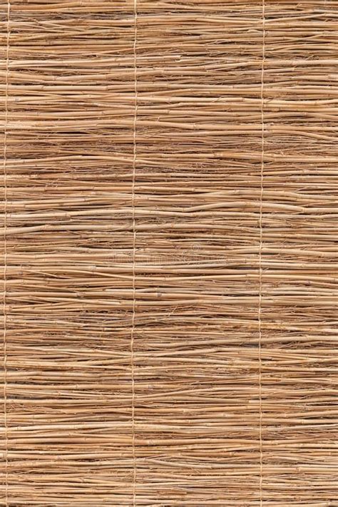 Beige bamboo mat texture stock image テクスチャ 壁