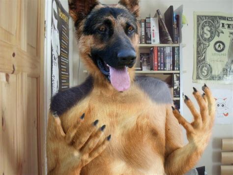 German Shepherd Tf By Pythos Cheetah On Deviantart