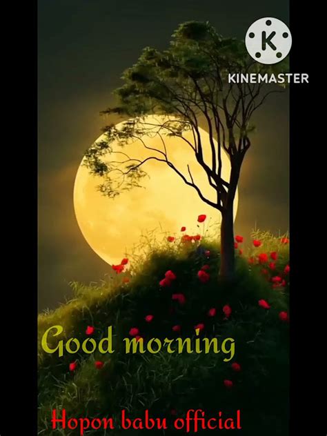 New Whatsapp Status Video 2022🌹good Morning 🌄🌅🌄 Youtube