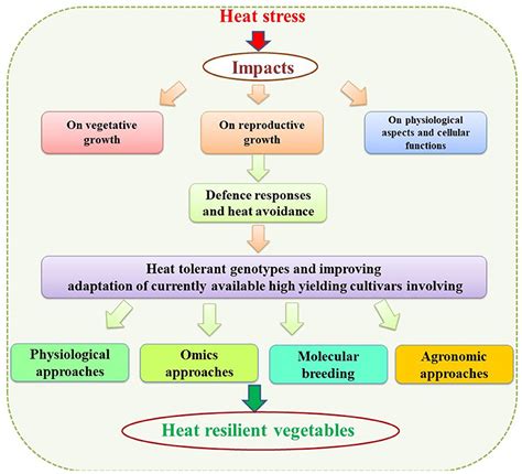 Frontiers Physiological And Molecular Approaches For Developing