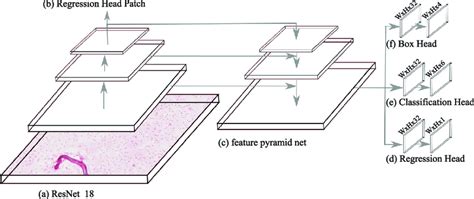 Object Detection And Score Prediction Based On RetinaNet A ResNet 18