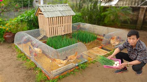 My Wife Likes Chicken Coop Combined With Growing Organic Vegetables