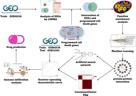 Frontiers Machine Learning Based Predictive Models And Drug