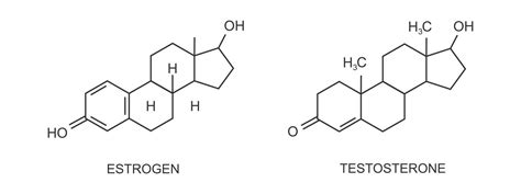 Estrógeno Y Progesterona Iconos Hembra Reproductivo Sexo Hormonas Químico Molecular Estructura