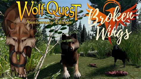 A Secret Admirer Broken Wings Wolfquest Anniversary Edition Lost