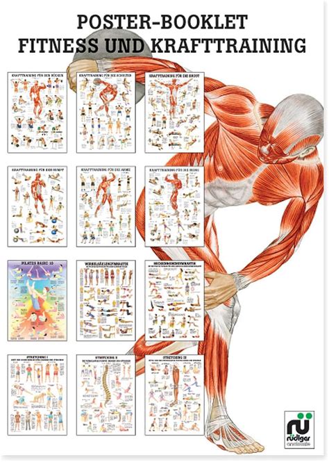 Rüdiger Anatomie Poster Booklet Fitness und Krafttraining 24X34cm