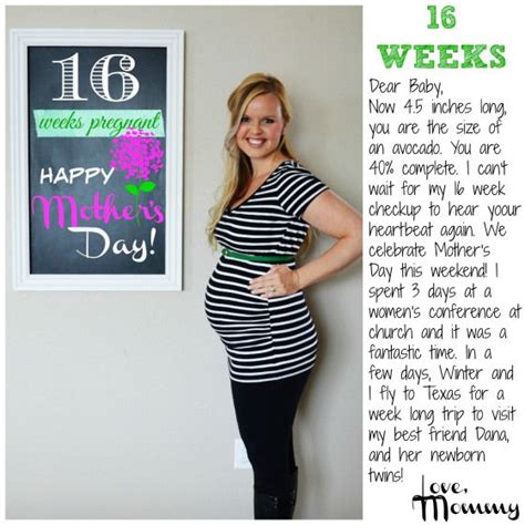 Plus Size Pregnancy Belly 16 Weeks