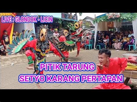 Pitik Tarung Sak Ndadine Jaranan Setyo Karang Pertapan Live Glondok