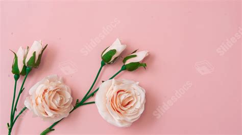 Pink Rose Fresh Flowers Blank Roses Mother Powerpoint Background For ...