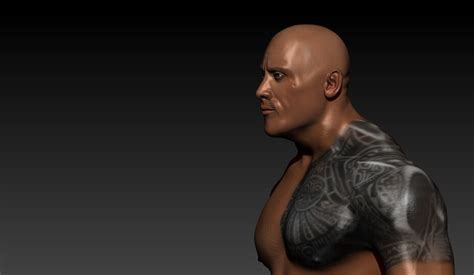 Artstation Dwayne Johnson The Rock 3d Model