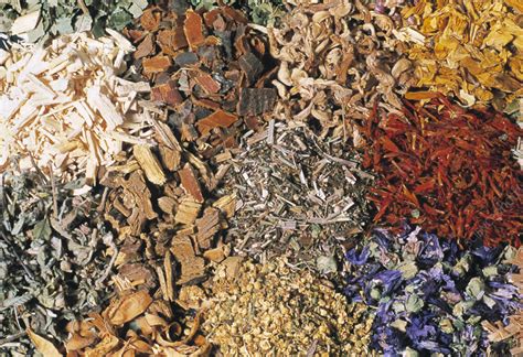 Dried Herb Assortment Stock Image M7500443 Science Photo Library