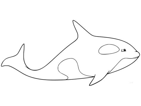 Dibujos De Orca F Cil Para Colorear Para Colorear Pintar E Imprimir