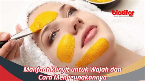 Manfaat Kunyit Untuk Wajah Dan Cara Menggunakannya Biotifor