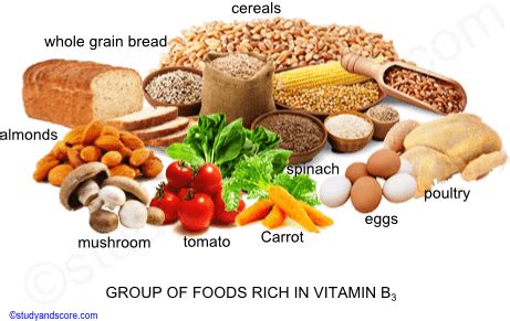 Vitamin B3, Sources, Deficiency, Function, absorption | Study&Score